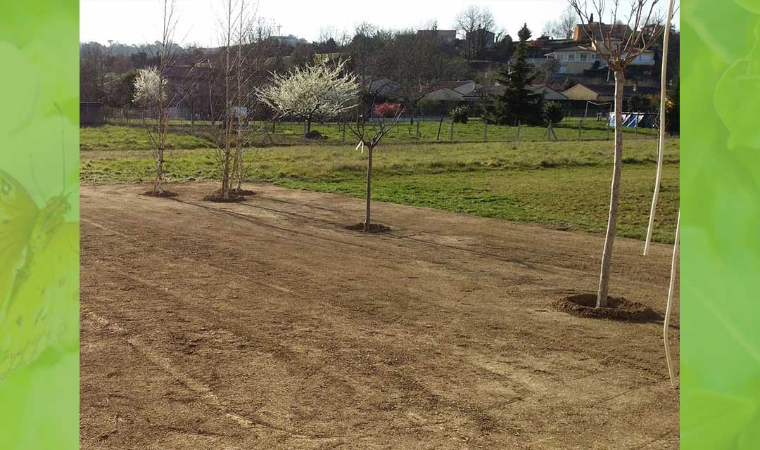 création Rigaud Espaces Verts