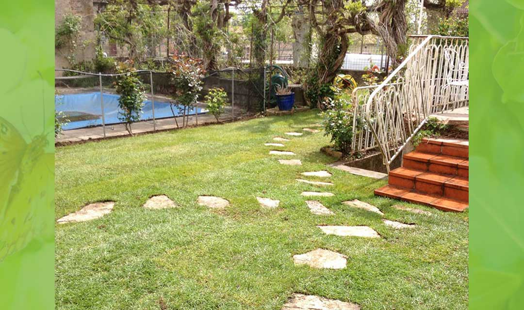 création Rigaud Espaces Verts