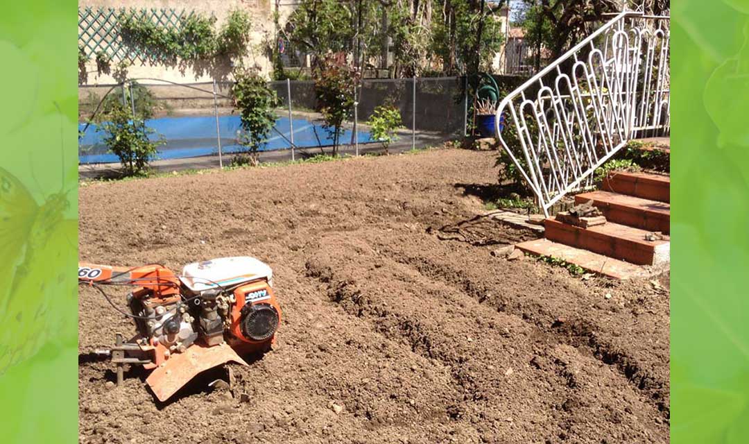 création Rigaud Espaces Verts