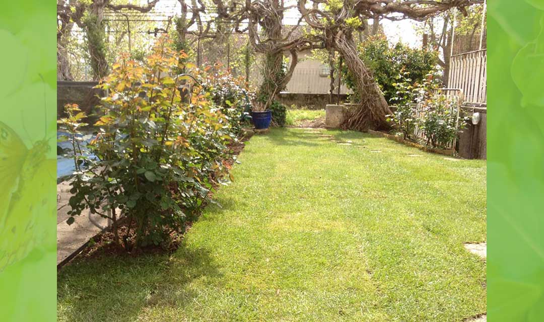 création Rigaud Espaces Verts