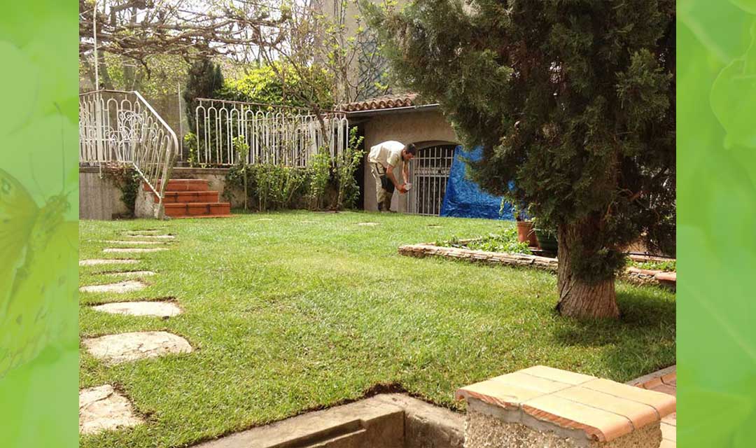 création Rigaud Espaces Verts