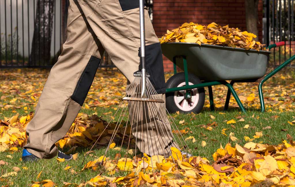 Dégagement de jardin Rigaud Espaces Verts