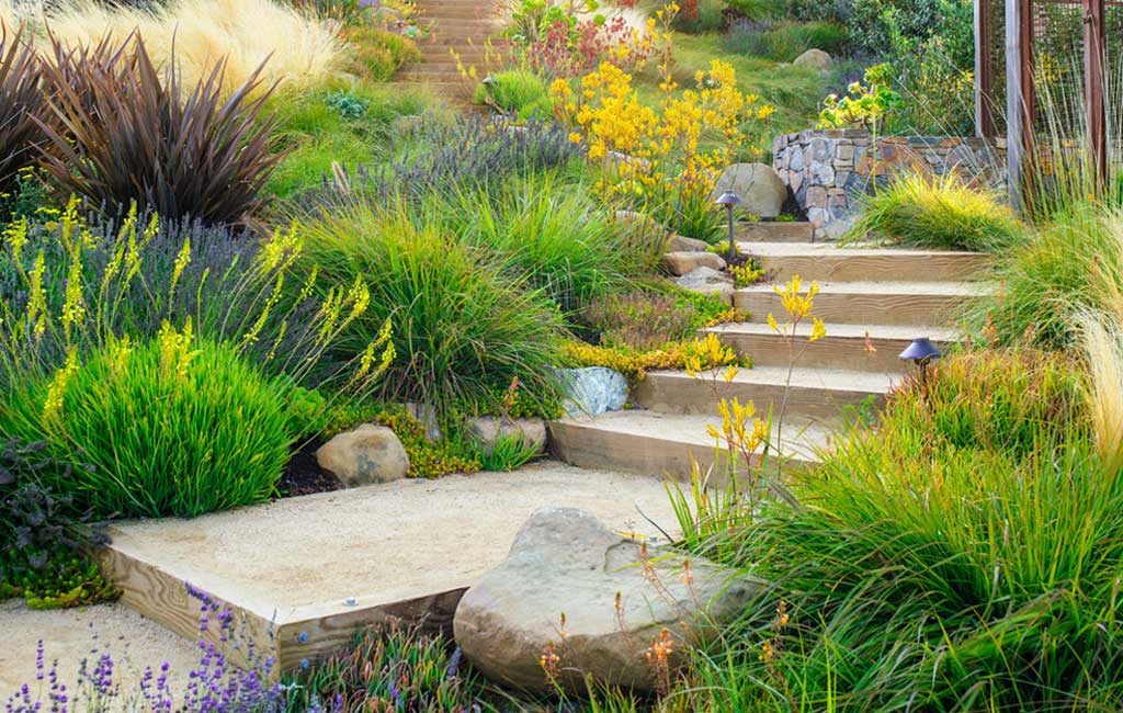 Design et plantation Rigaud Espaces Verts